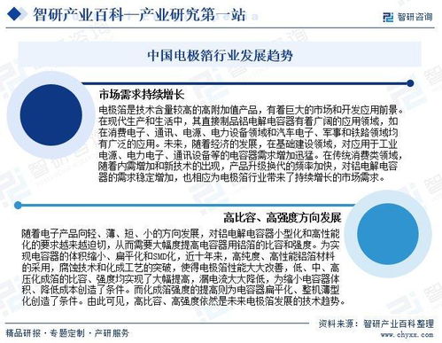 電極箔產(chǎn)業(yè)發(fā)展歷程、競(jìng)爭(zhēng)格局與市場(chǎng)前景研究