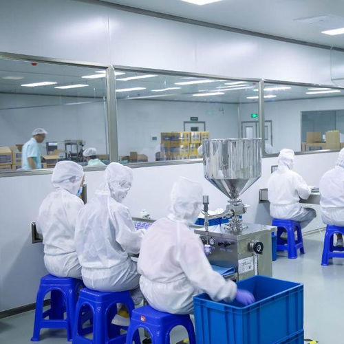 專業(yè)功效護(hù)膚科技工廠 信息技術(shù)咨詢服務(wù)如何精準(zhǔn)捕捉市場(chǎng)需求